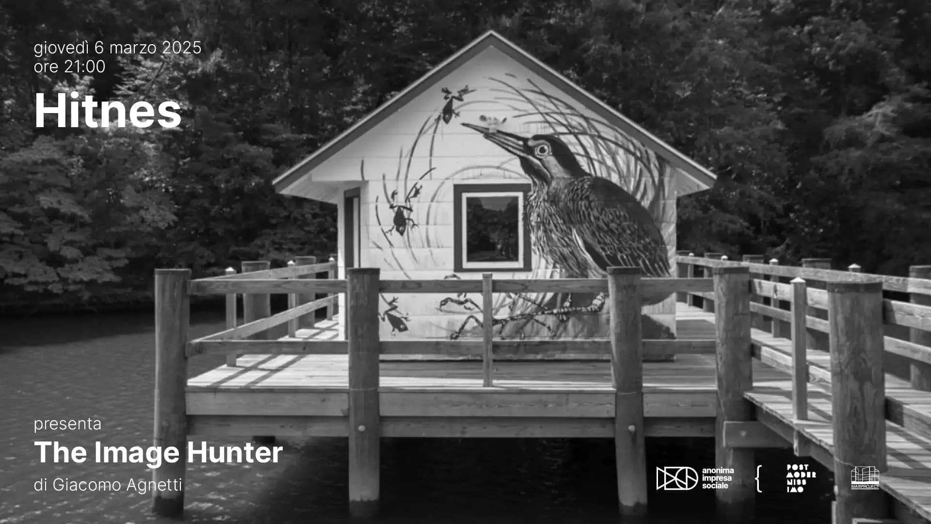 The image hunter