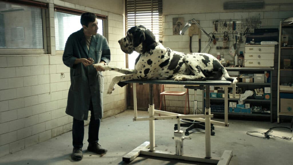 Dogman (extended version) #
