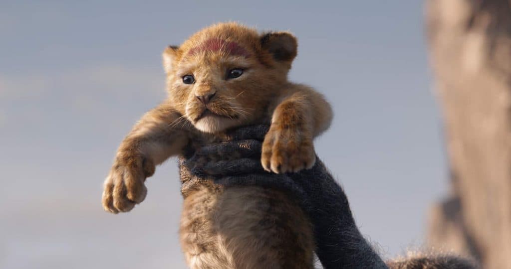 Il re leone