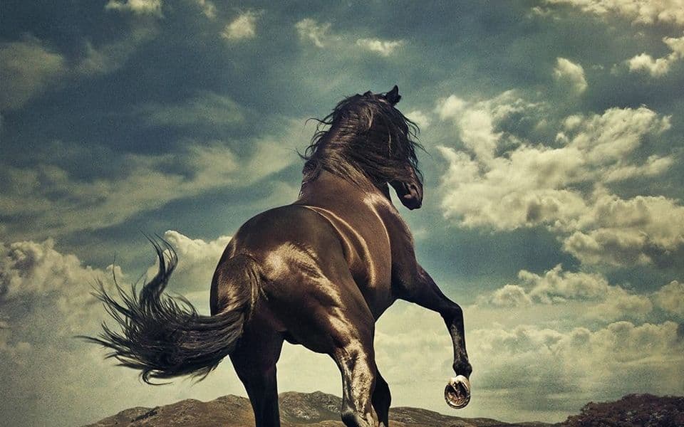Western Stars