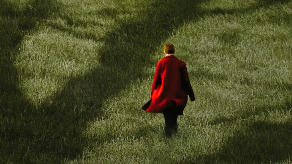 Semina il vento