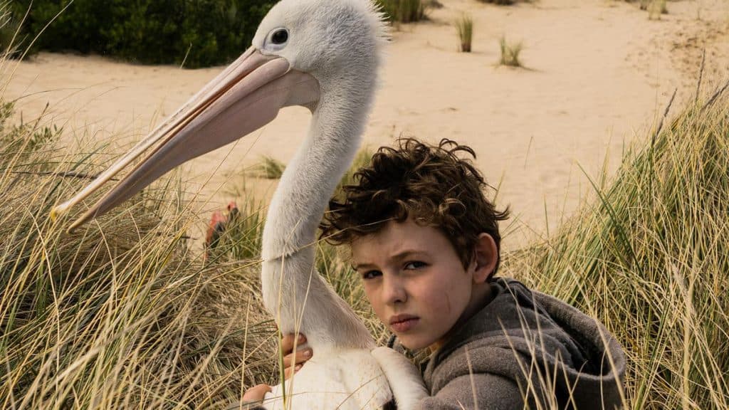 Storm Boy &#8211; Il ragazzo che sapeva volare