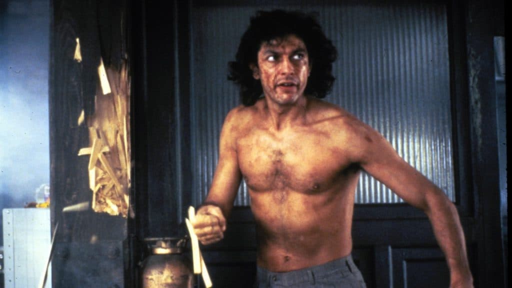 The Fly
