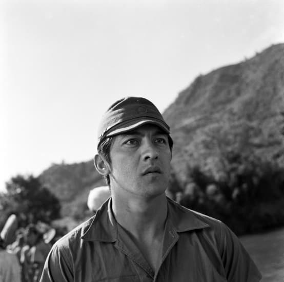 L&#8217;arpa birmana