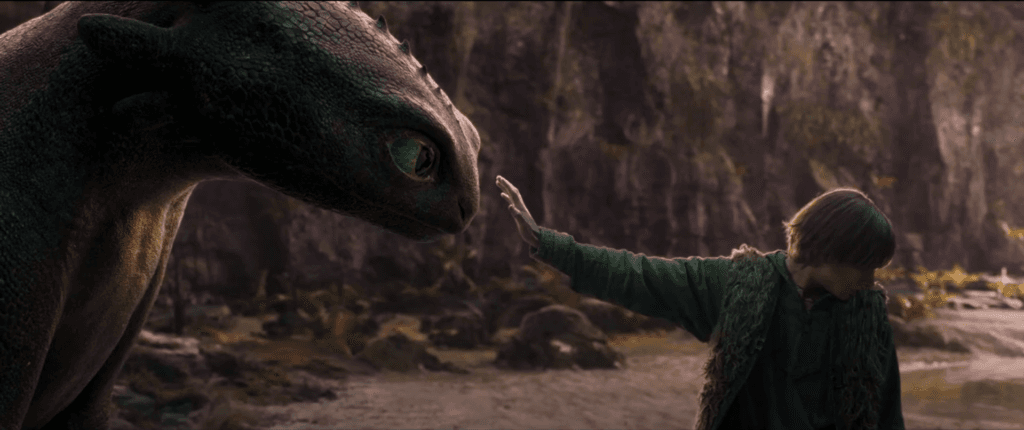 Dragon Trainer
