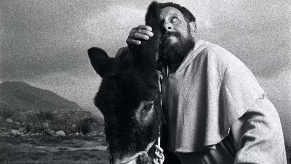 Un film fatto per Bene