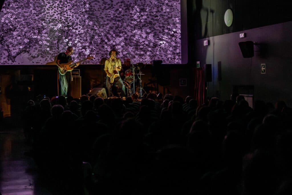 ill considered low-12